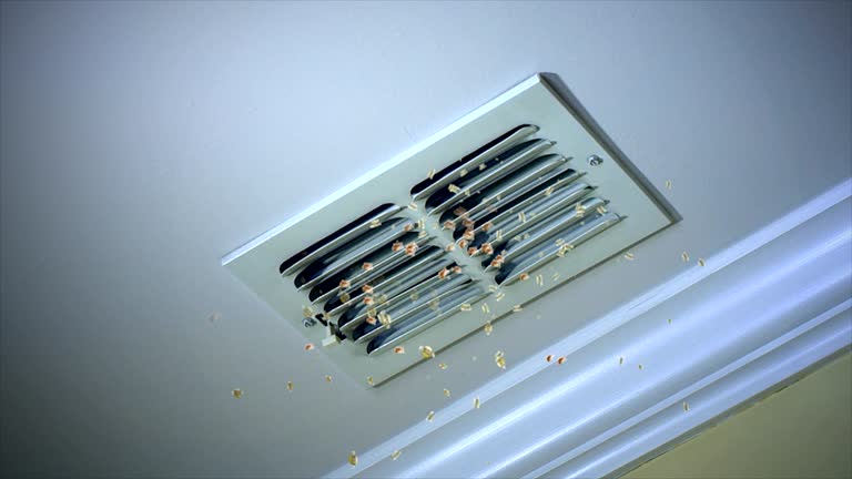 Best Affordable Duct Cleaning Services  in Avonmore, PA